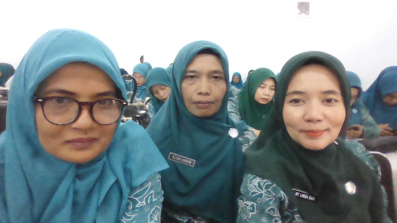 SOSIALISASI PKK DAN LAUNCHING APLIKASI SERASI DI KAB.MANDAILING NATAL TAHUN 2025